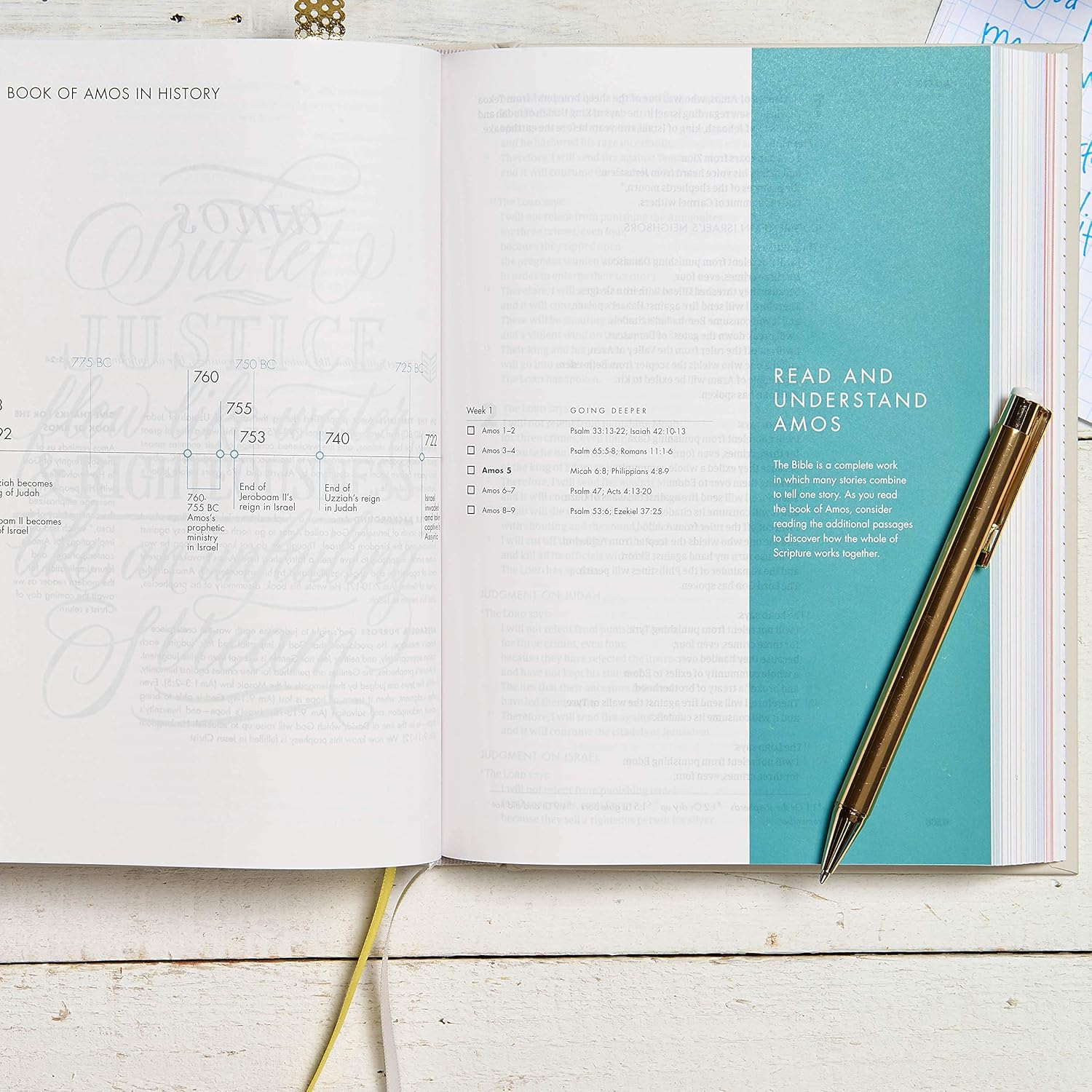 CSB She Reads Truth Bible, Hardcover, Black Letter, Full-Color Design, Wide Margins, Notetaking Space, Devotionals, Reading Plans, Two Ribbon Markers, Sewn Binding, Easy-to-Read Bible Serif Type