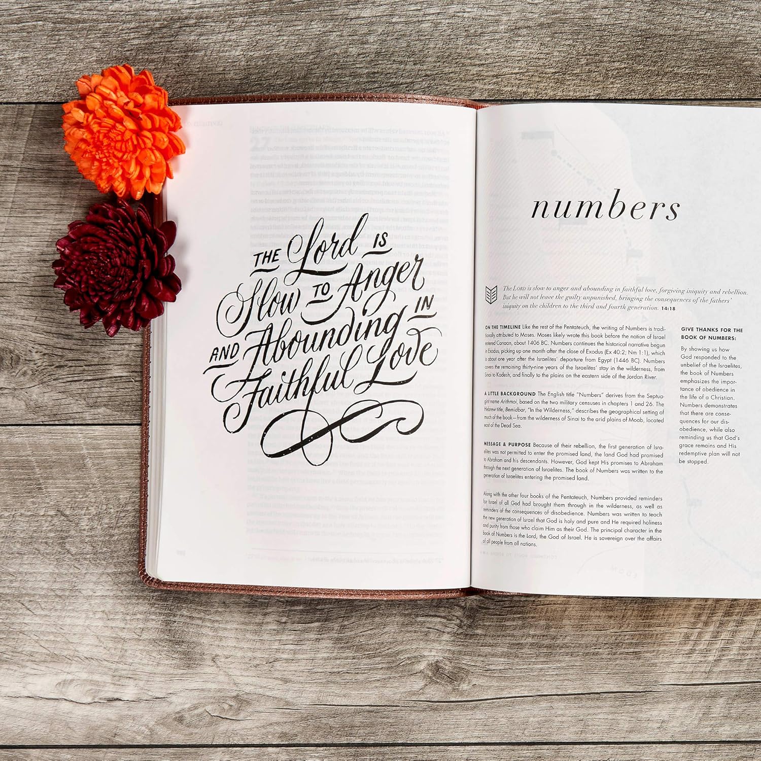 CSB She Reads Truth Bible, Rose Gold LeatherTouch, Black Letter, Full-Color Design, Wide Margins, Journaling Space, Devotionals, Reading Plans, Single-Column, Easy-to-Read Bible Serif Type