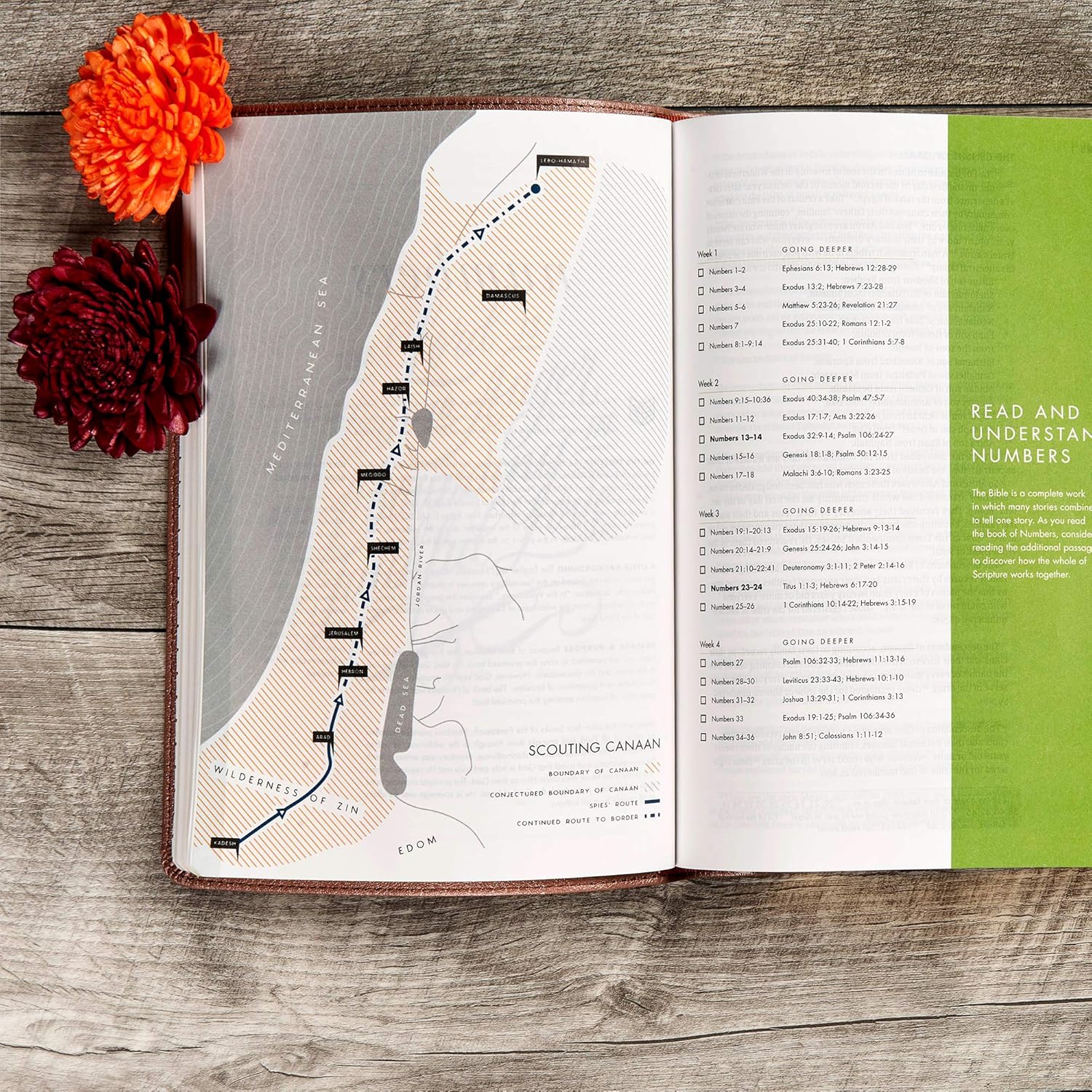 CSB She Reads Truth Bible, Rose Gold LeatherTouch, Black Letter, Full-Color Design, Wide Margins, Journaling Space, Devotionals, Reading Plans, Single-Column, Easy-to-Read Bible Serif Type