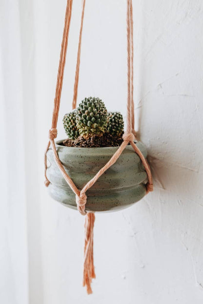 Crowned Free - Planted Macrame Plant Hanger - Made by Survivors