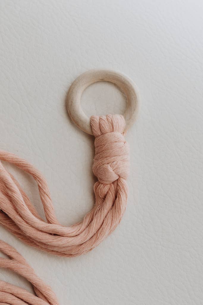 Crowned Free - Planted Macrame Plant Hanger - Made by Survivors