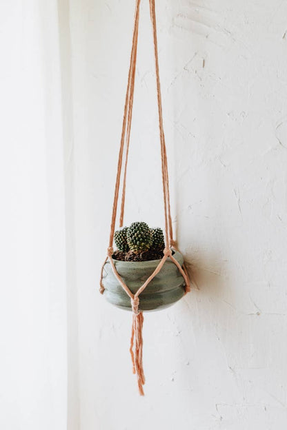 Crowned Free - Planted Macrame Plant Hanger - Made by Survivors
